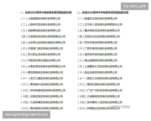 2025赛季中超球队完整名单及其最新阵容分析与前景预测