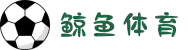 鲸鱼体育-全球赛事直播-即时足球篮球比分体育平台